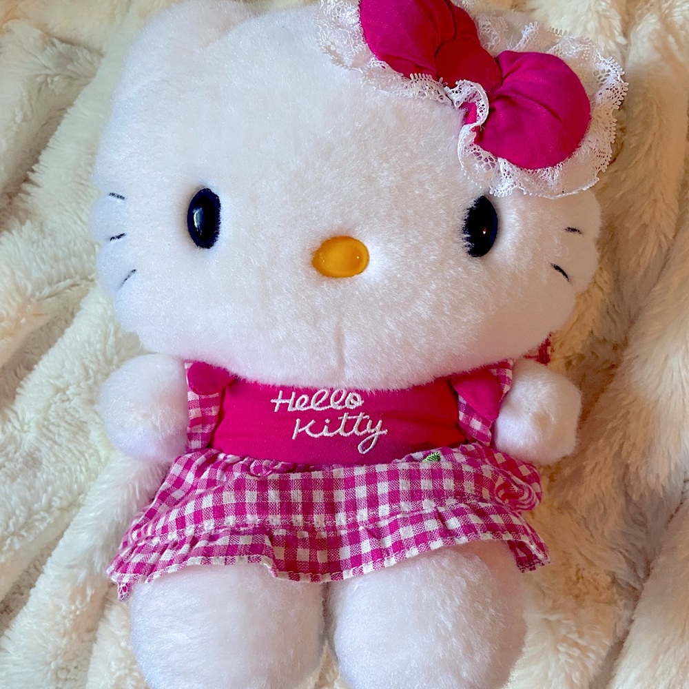 Adorable Picnic Theme Hello Kitty